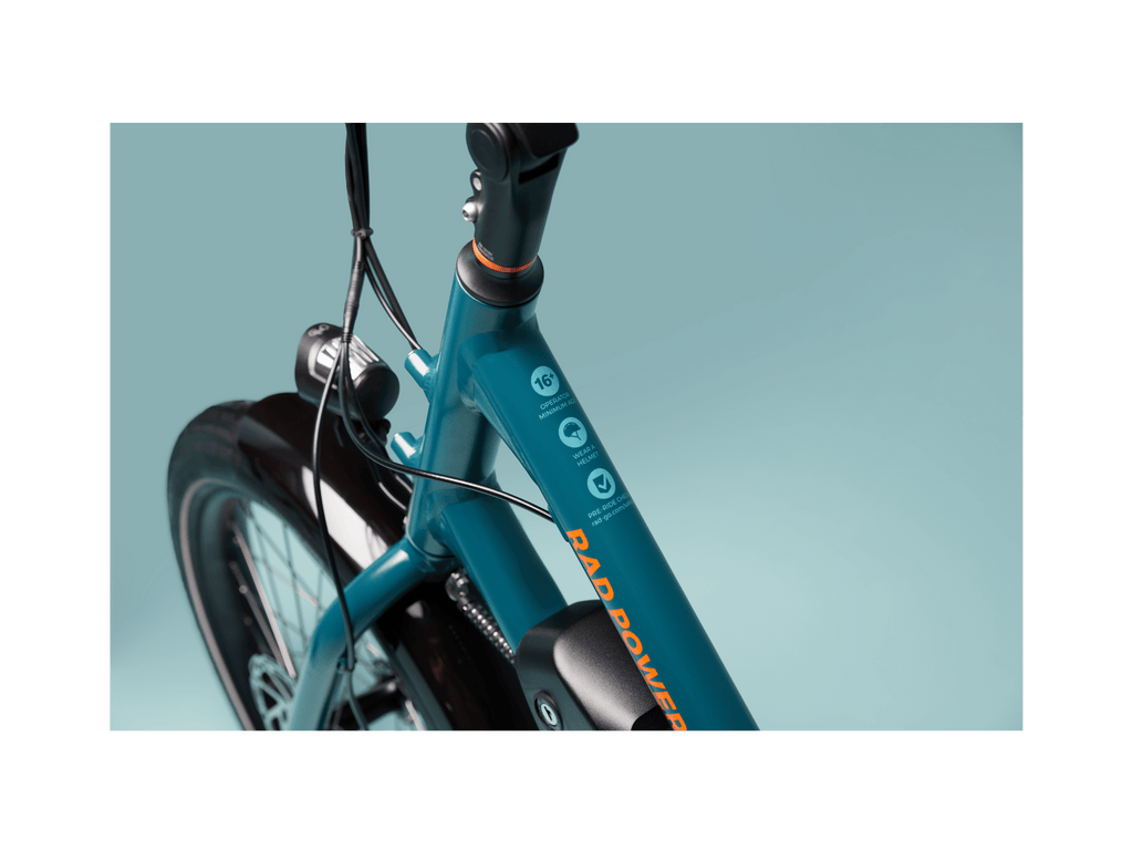 RadWagon™ Electric Cargo Bike