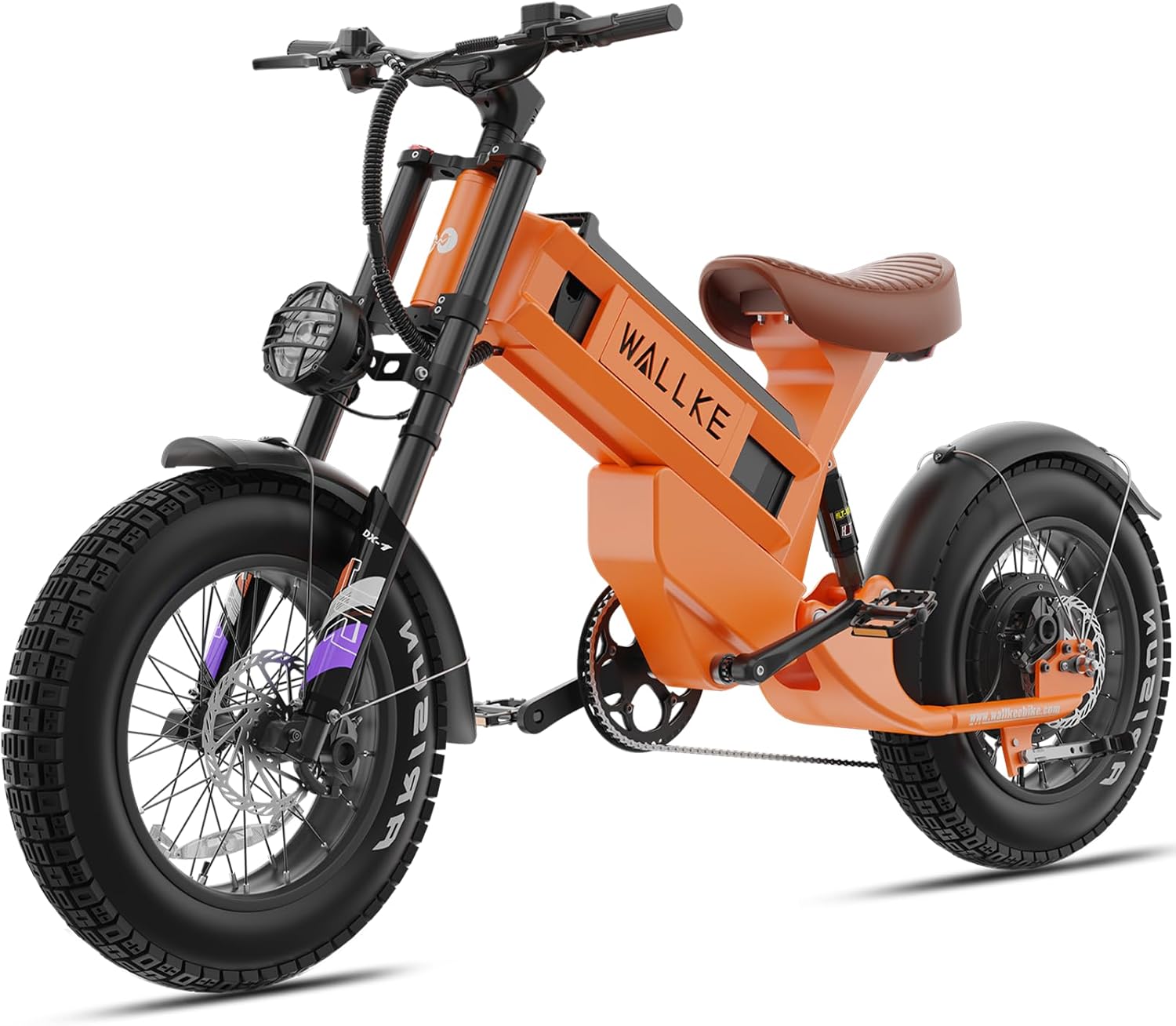R60C 4000W Long Range Electric Bike for Adults, Fat Tire All Terrain Ebike