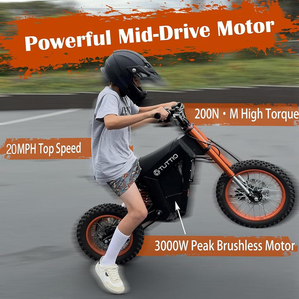 Electric Dirt Bike Adults 2000W/3000W 220NM Electric Bike 48V 21AH