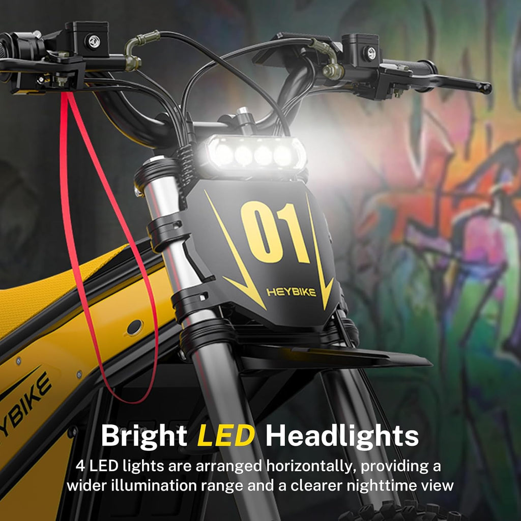Electric Dirt Bike, 4160W E Dirt Bike with 52V