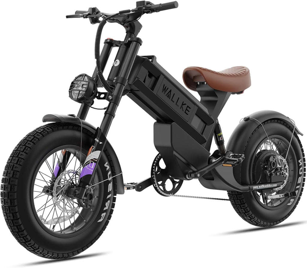 R60C 4000W Long Range Electric Bike for Adults, Fat Tire All Terrain Ebike