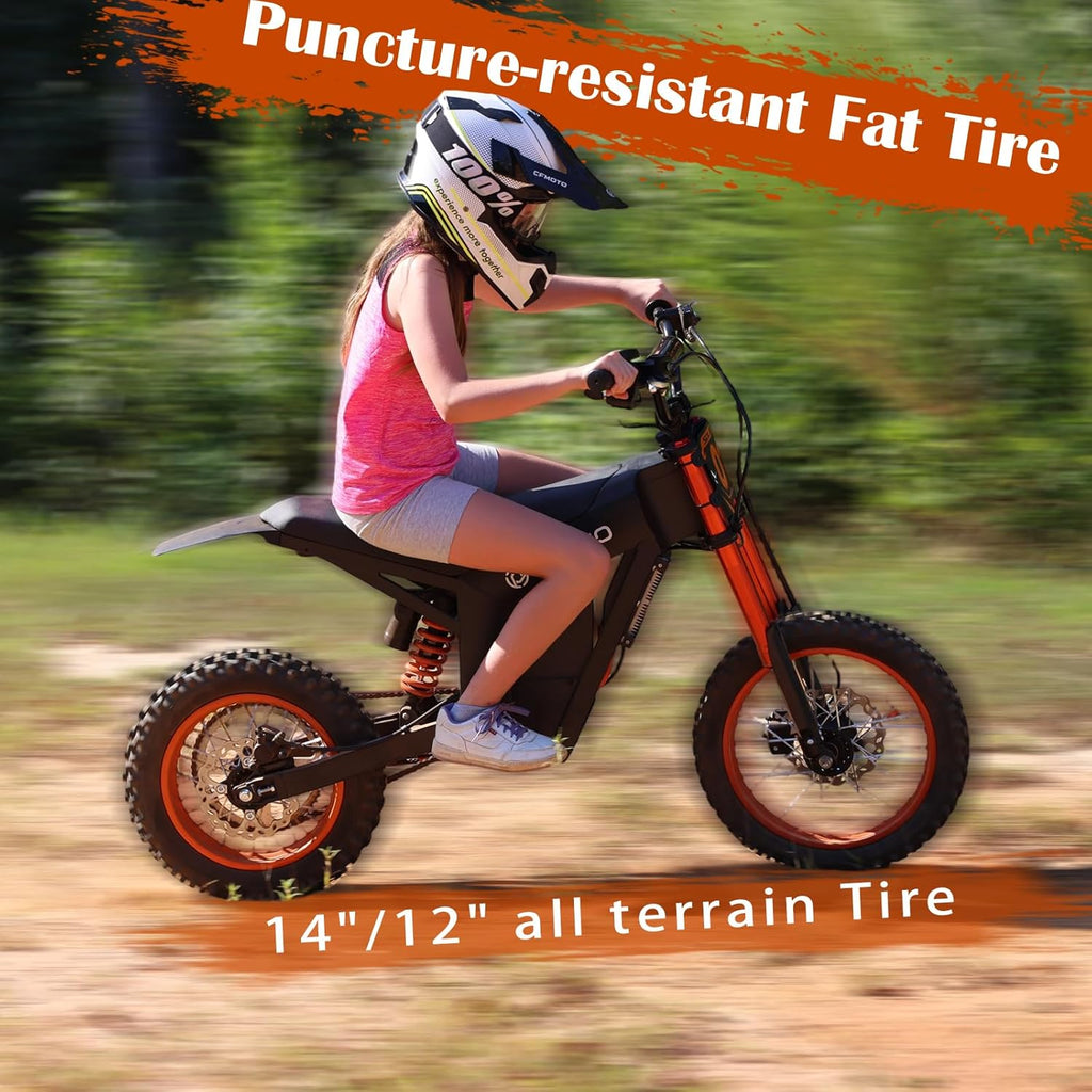 Electric Dirt Bike Adults 2000W/3000W 220NM Electric Bike 48V 21AH