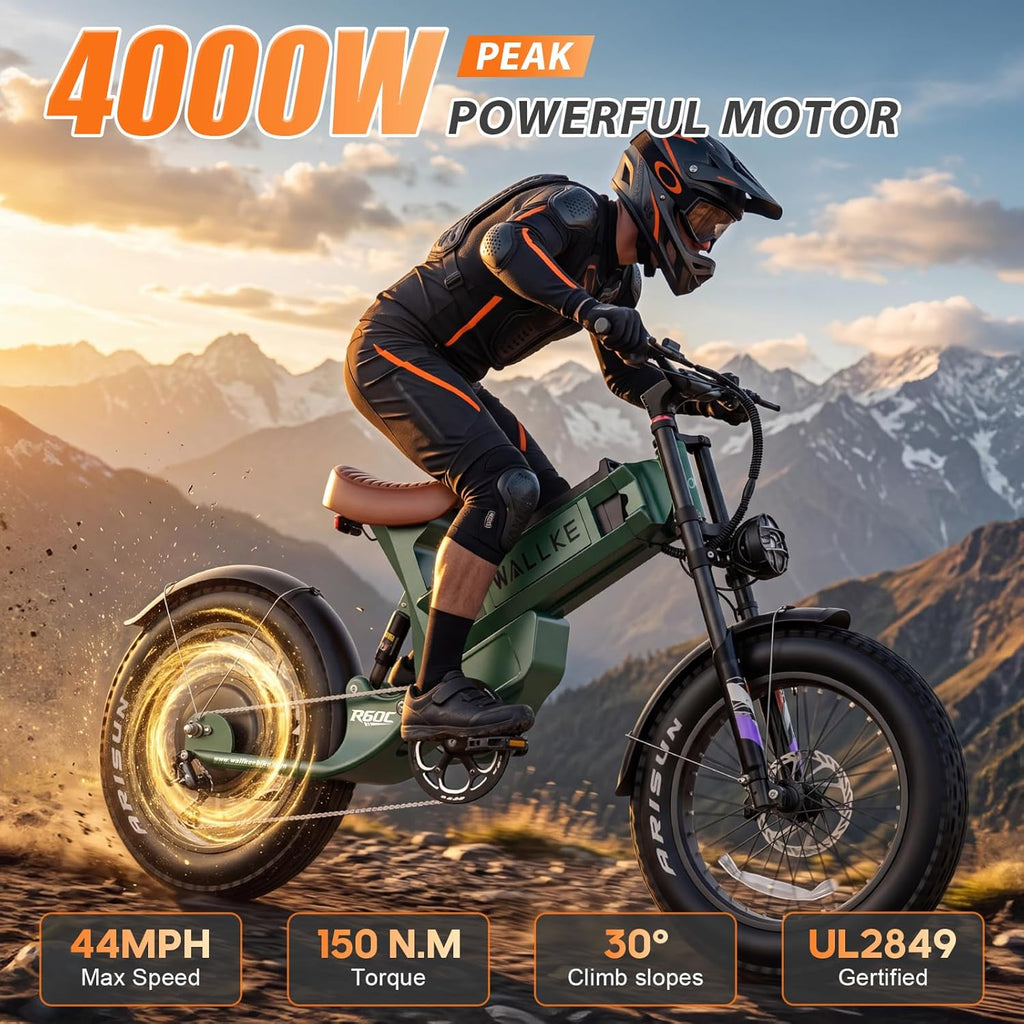 R60C 4000W Long Range Electric Bike for Adults, Fat Tire All Terrain Ebike