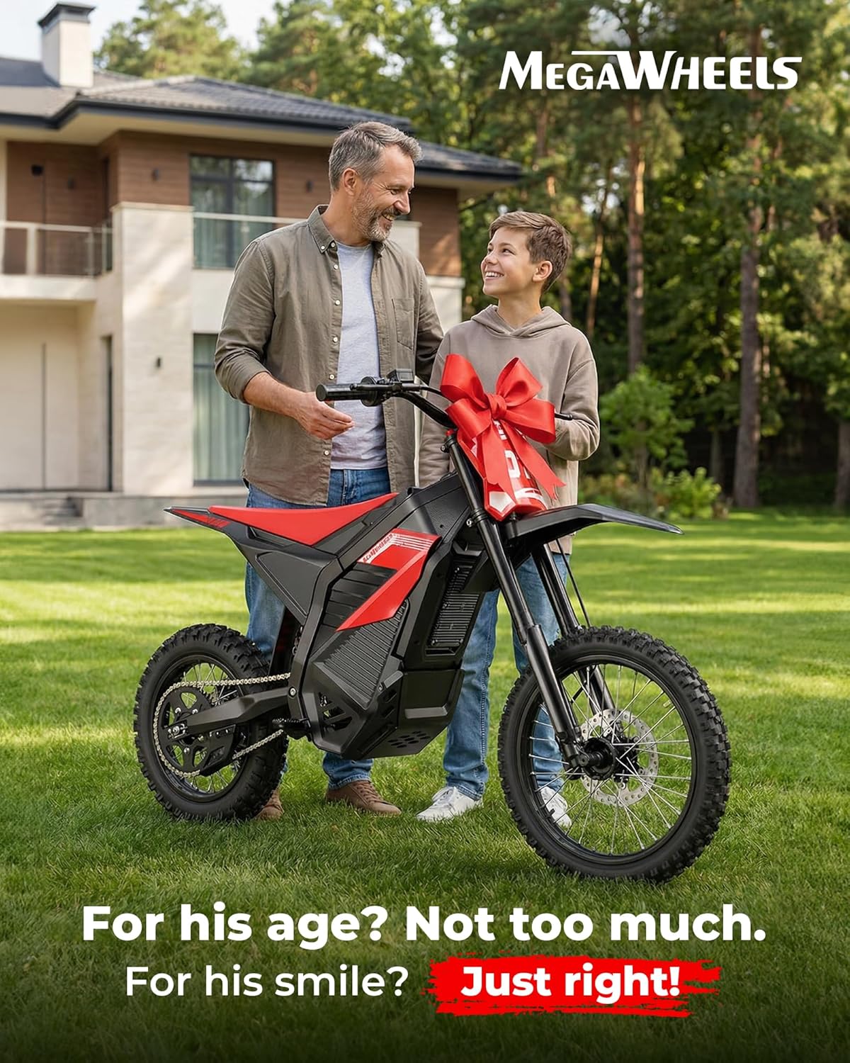 Electric Dirt Bike for Adults & Teens,