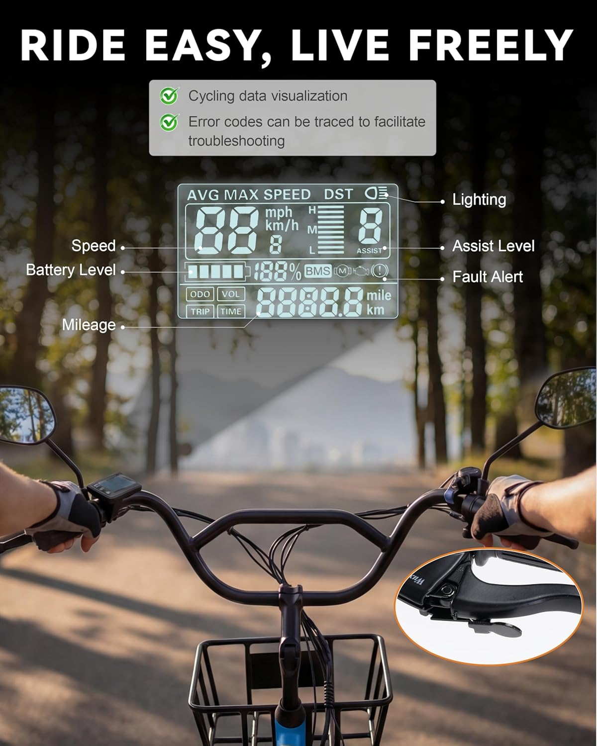 Electric Tricycle for Adults, 48V/864WH E Trike, 749W Powerful Motor