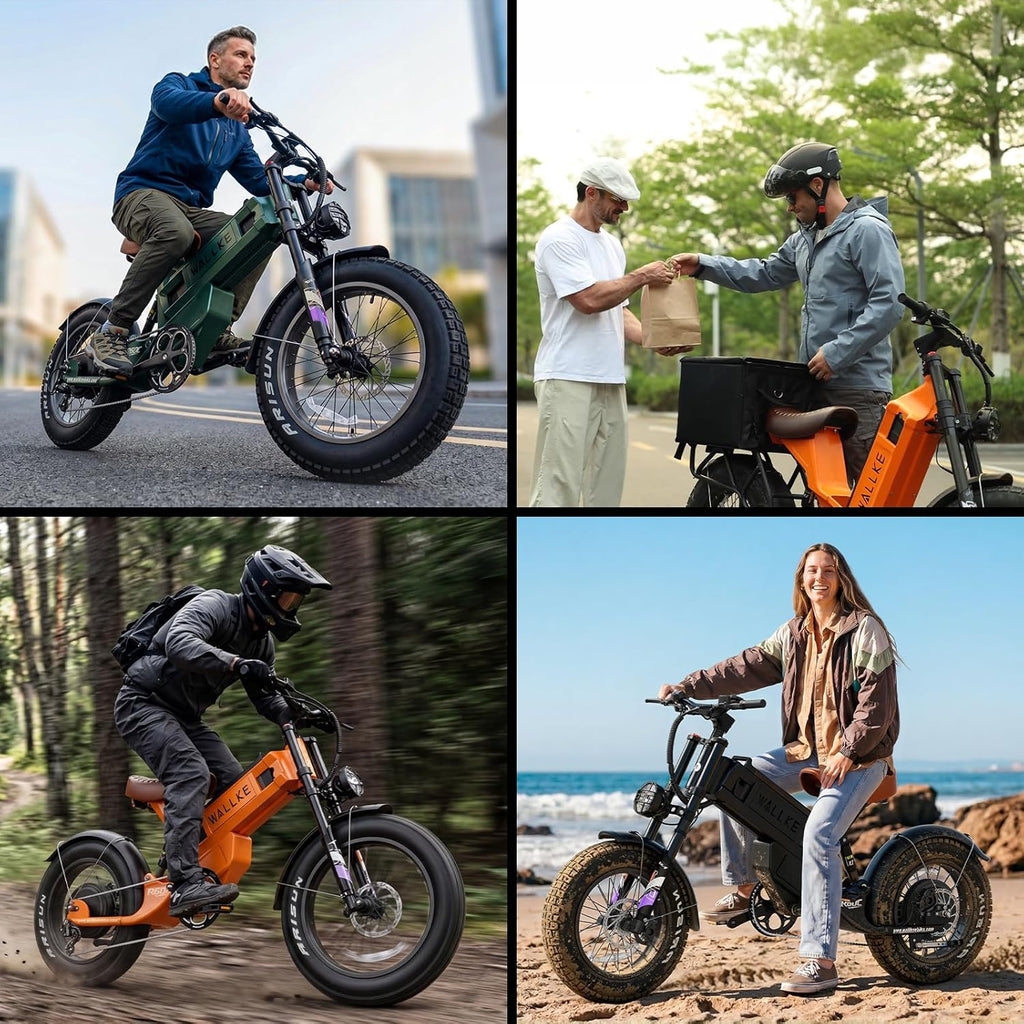 R60C 4000W Long Range Electric Bike for Adults, Fat Tire All Terrain Ebike