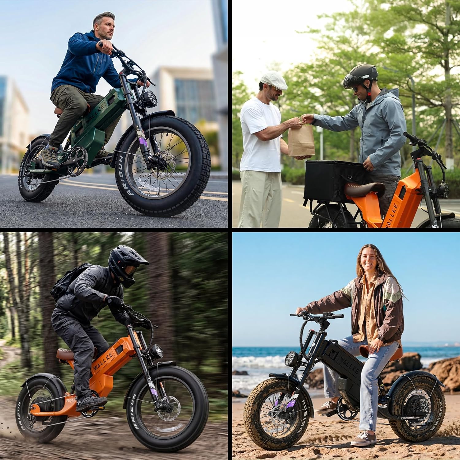R60C 4000W Long Range Electric Bike for Adults, Fat Tire All Terrain Ebike