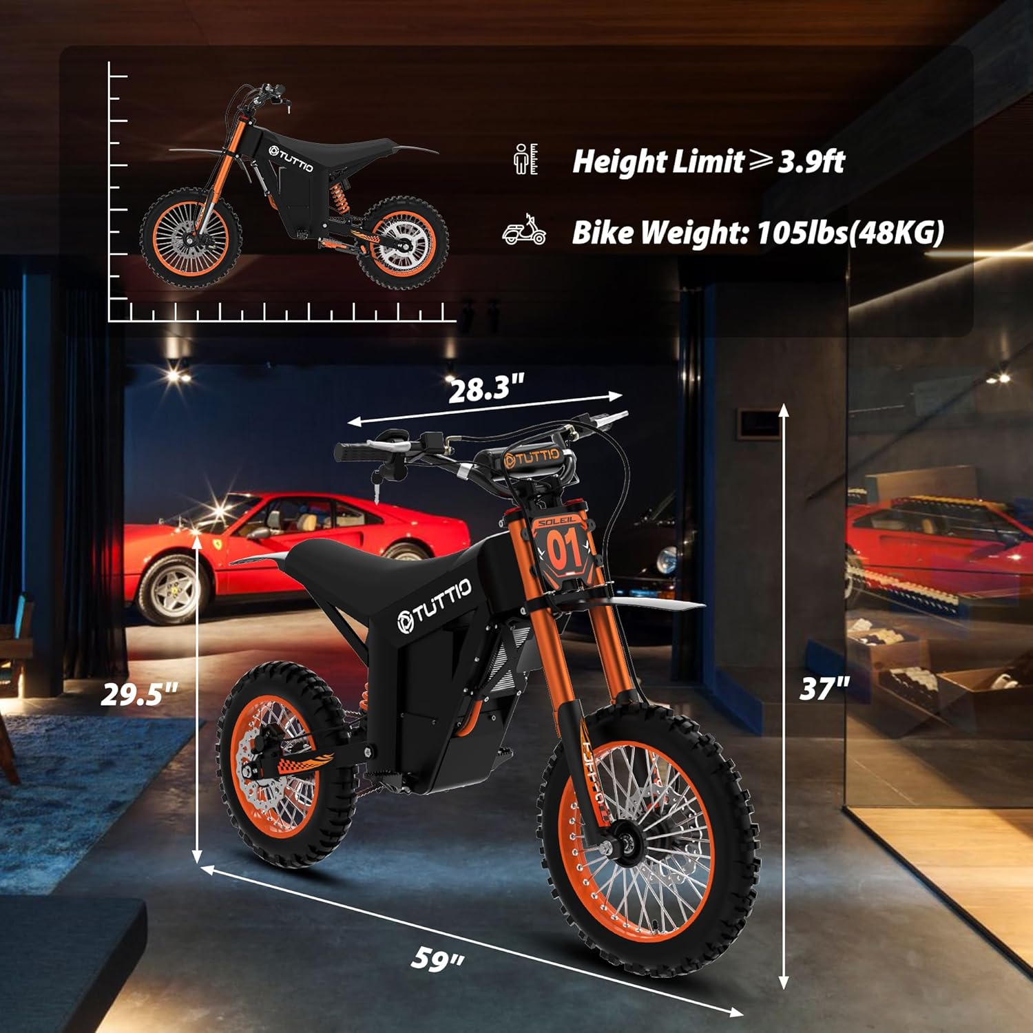 Electric Dirt Bike Adults 2000W/3000W 220NM Electric Bike 48V 21AH