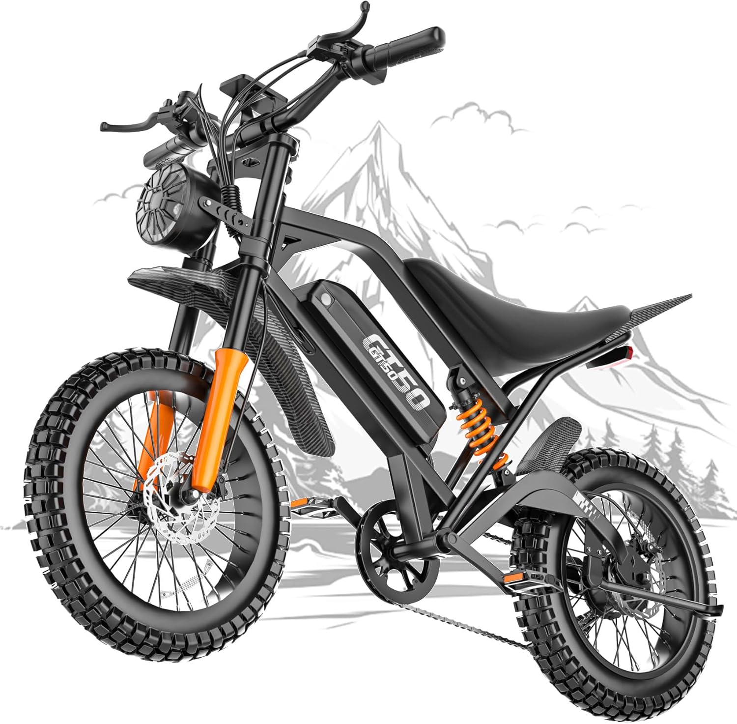Electric Dirt Bike, 5500W Peak Electric Motorcycle