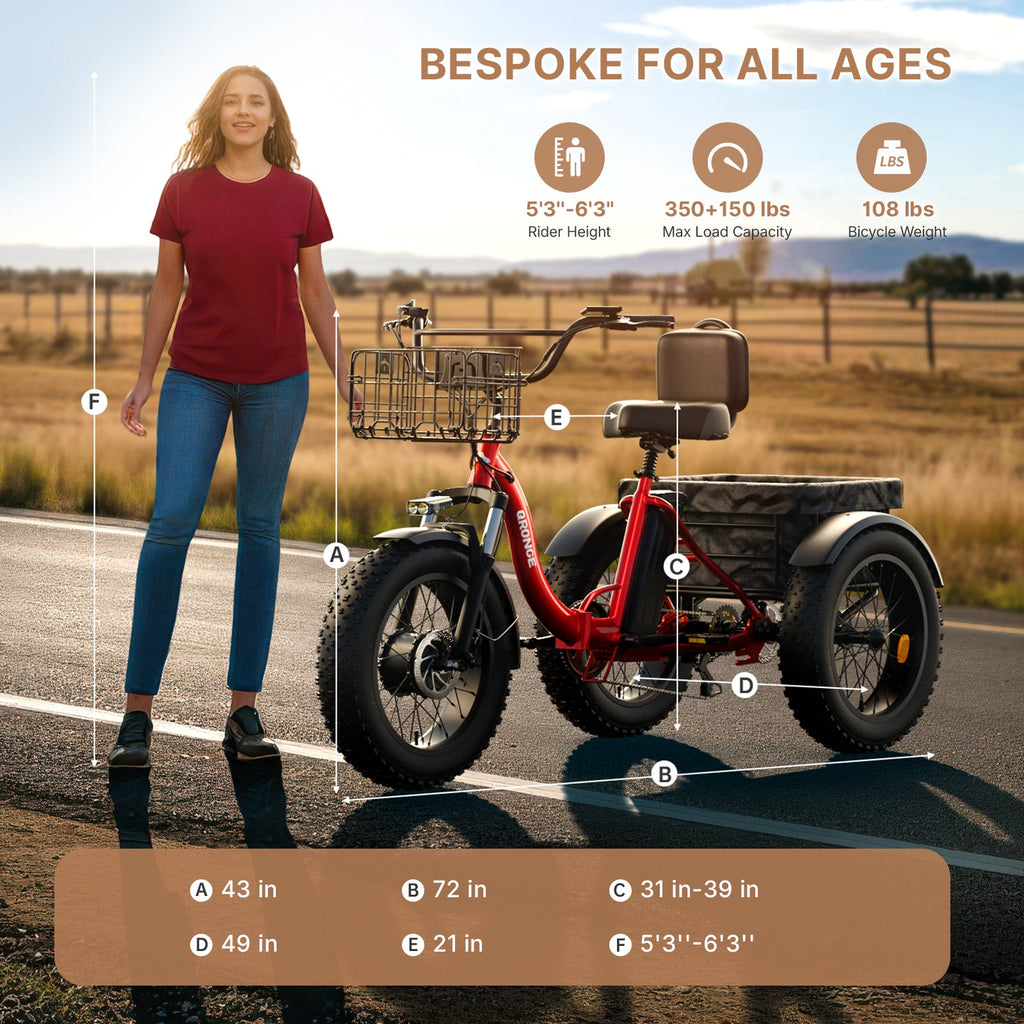 Lava Electric Tricycle