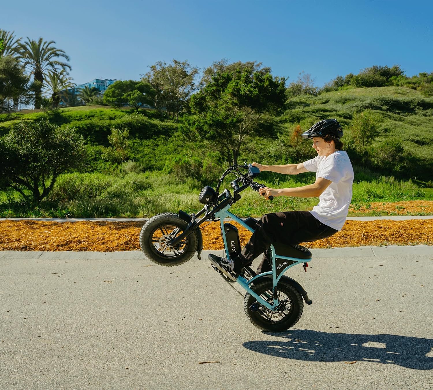 Electric Bike for Adults/Teens, 16"/20" Fat Tire E Dirt Bike with 36V/48V
