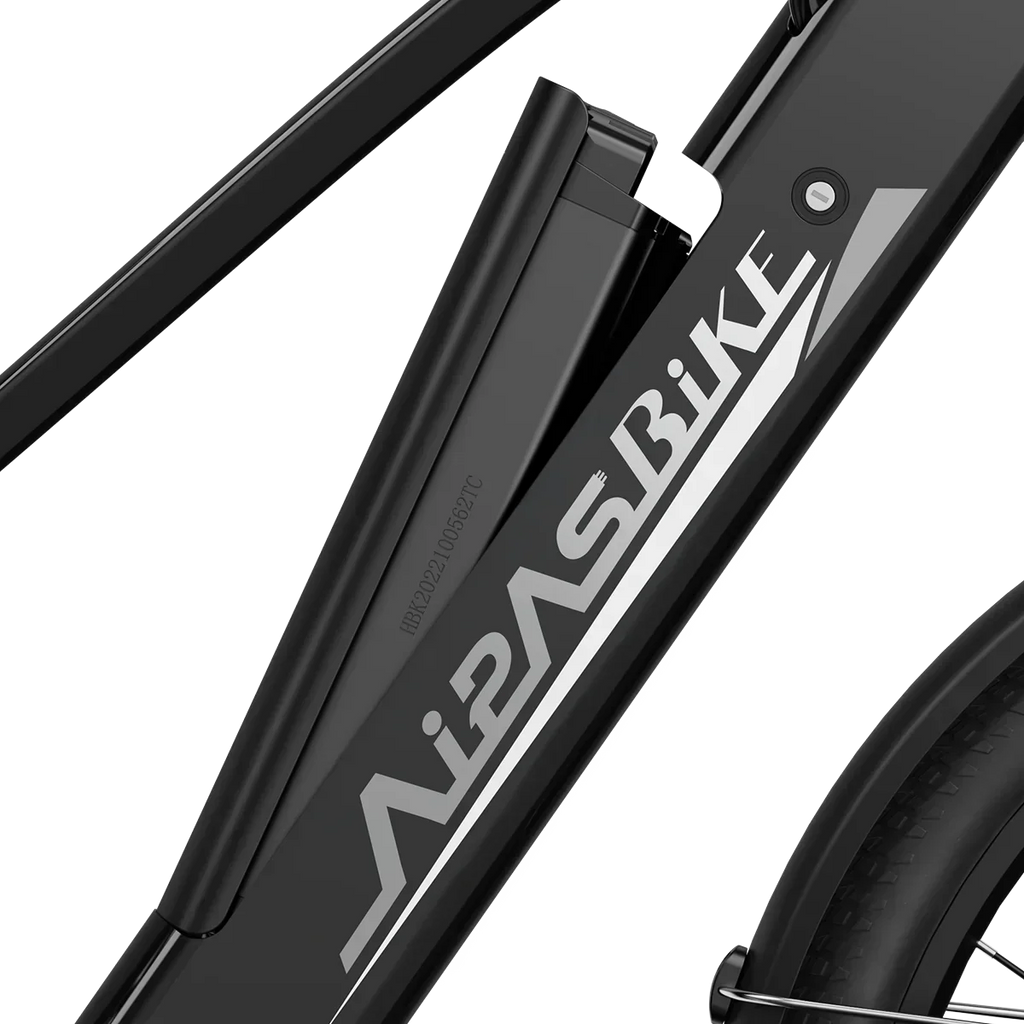 Aipas® Ebike Combo Sale C2*2