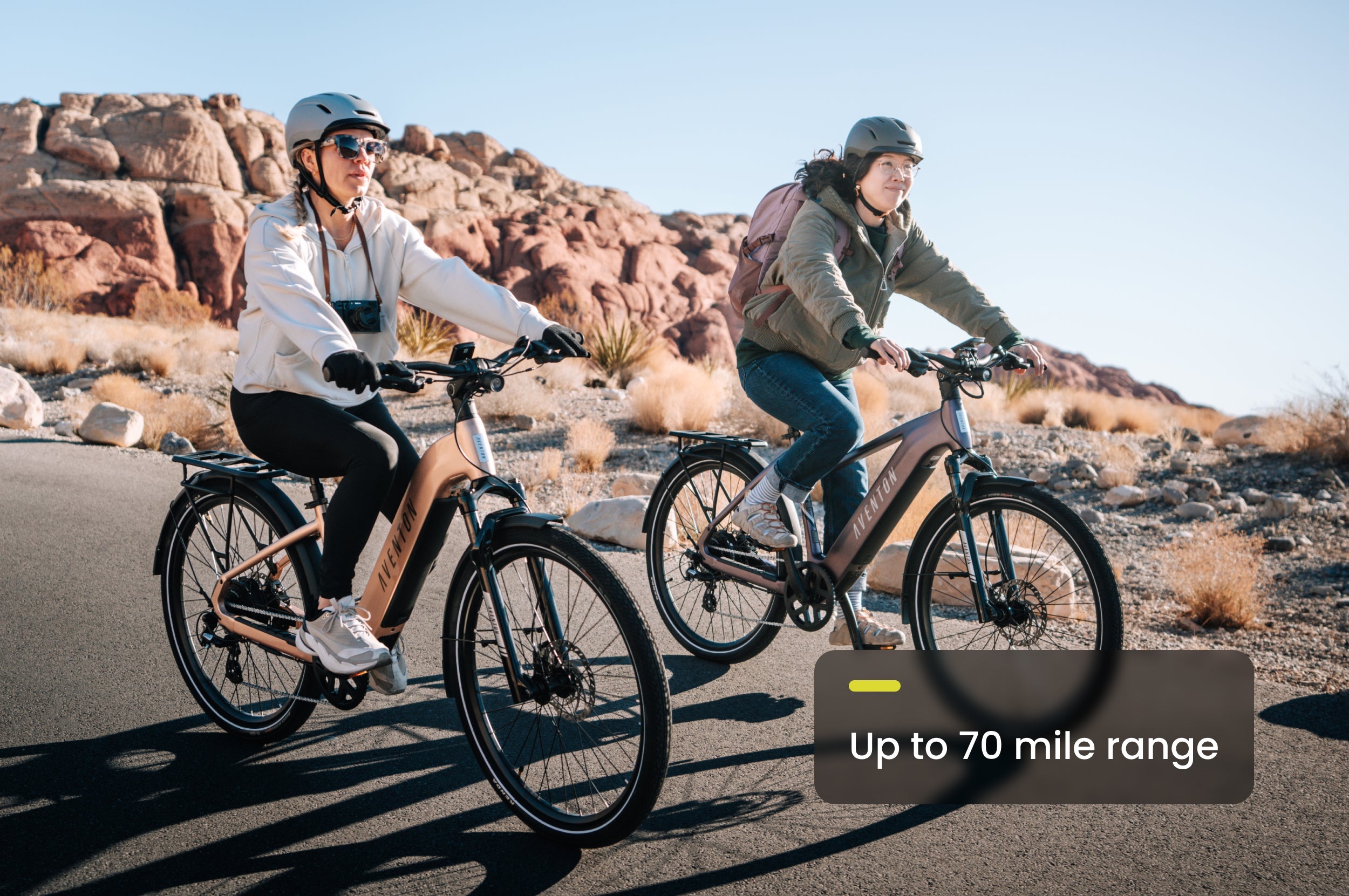 Level 3 Step-Through Ebike