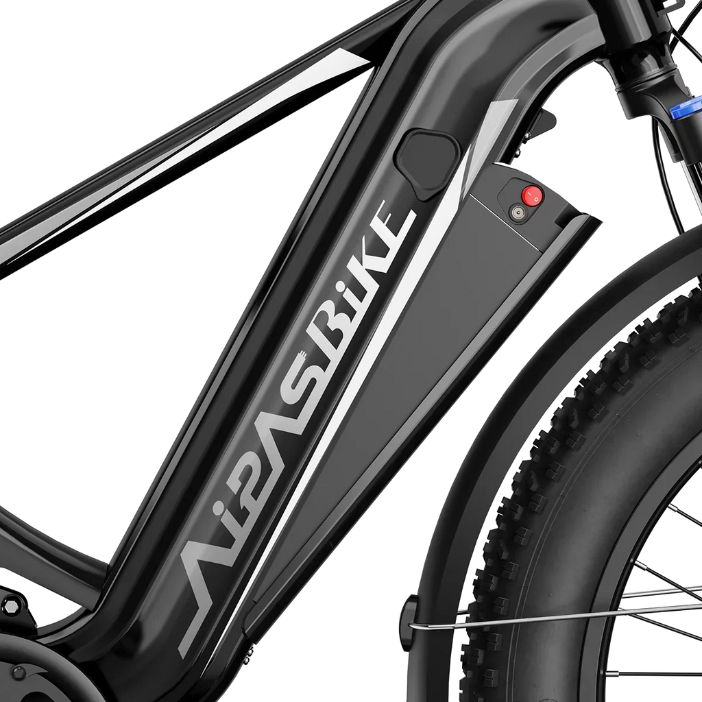 Aipas® Ebike Combo Sale M2 Pro*2