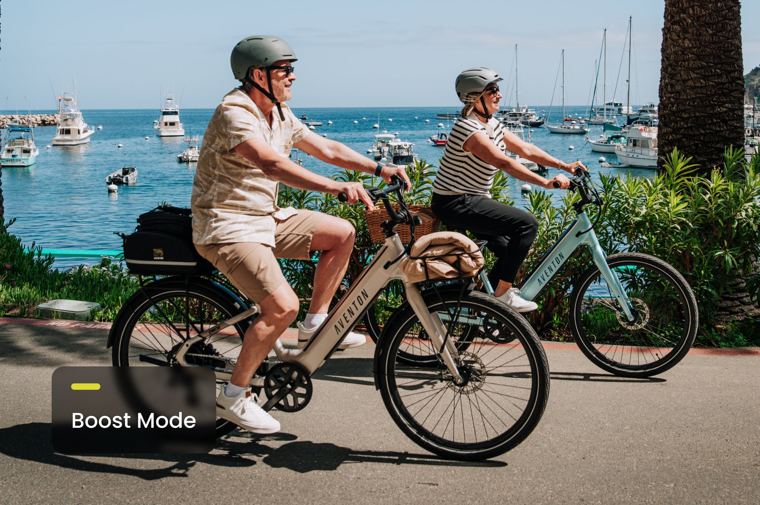 Pace 4 Step-Through Ebike