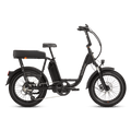 RadRunner™ Plus Electric Cargo Utility Bike