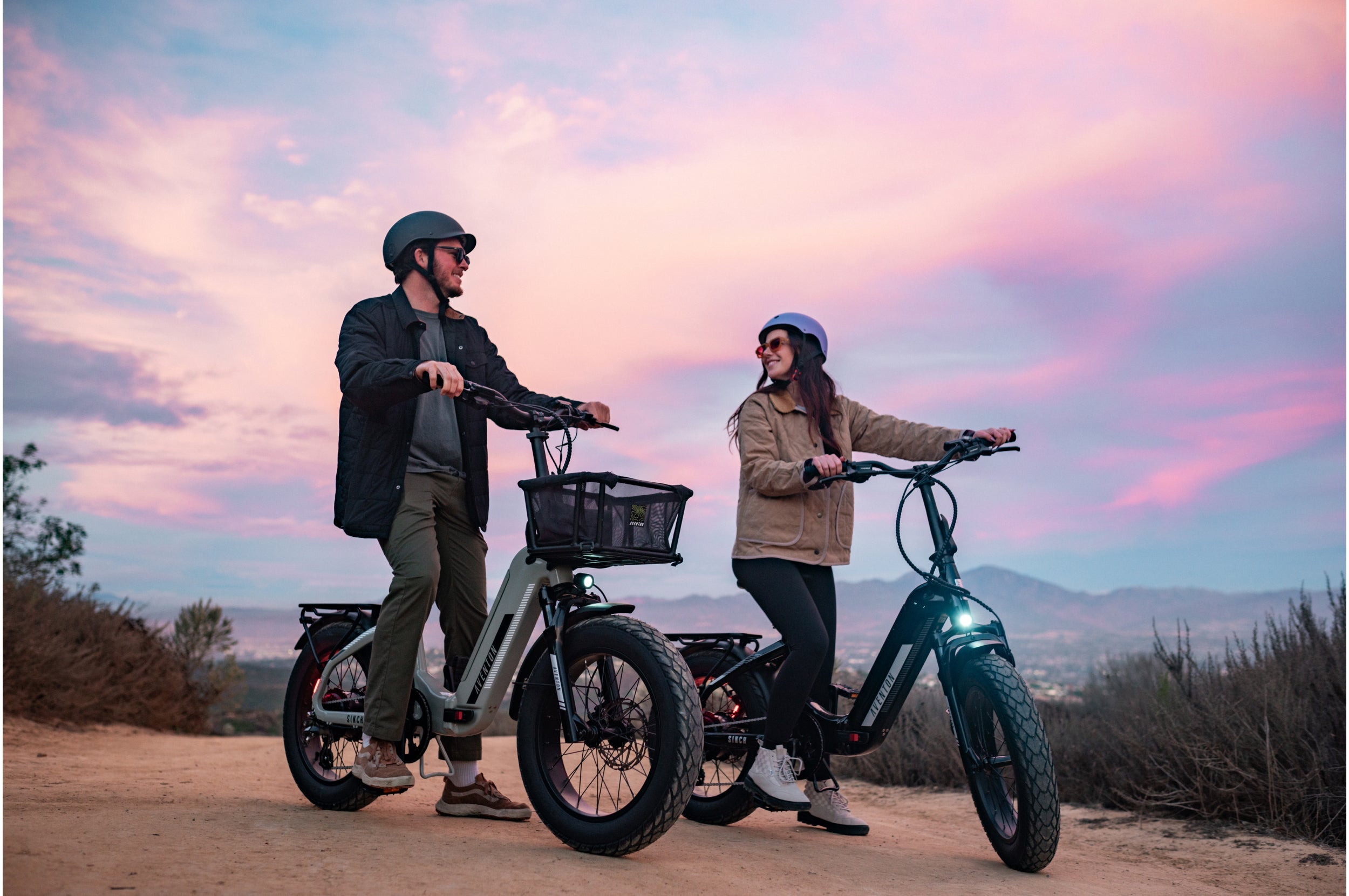 Sinch 2.5 Ebike
