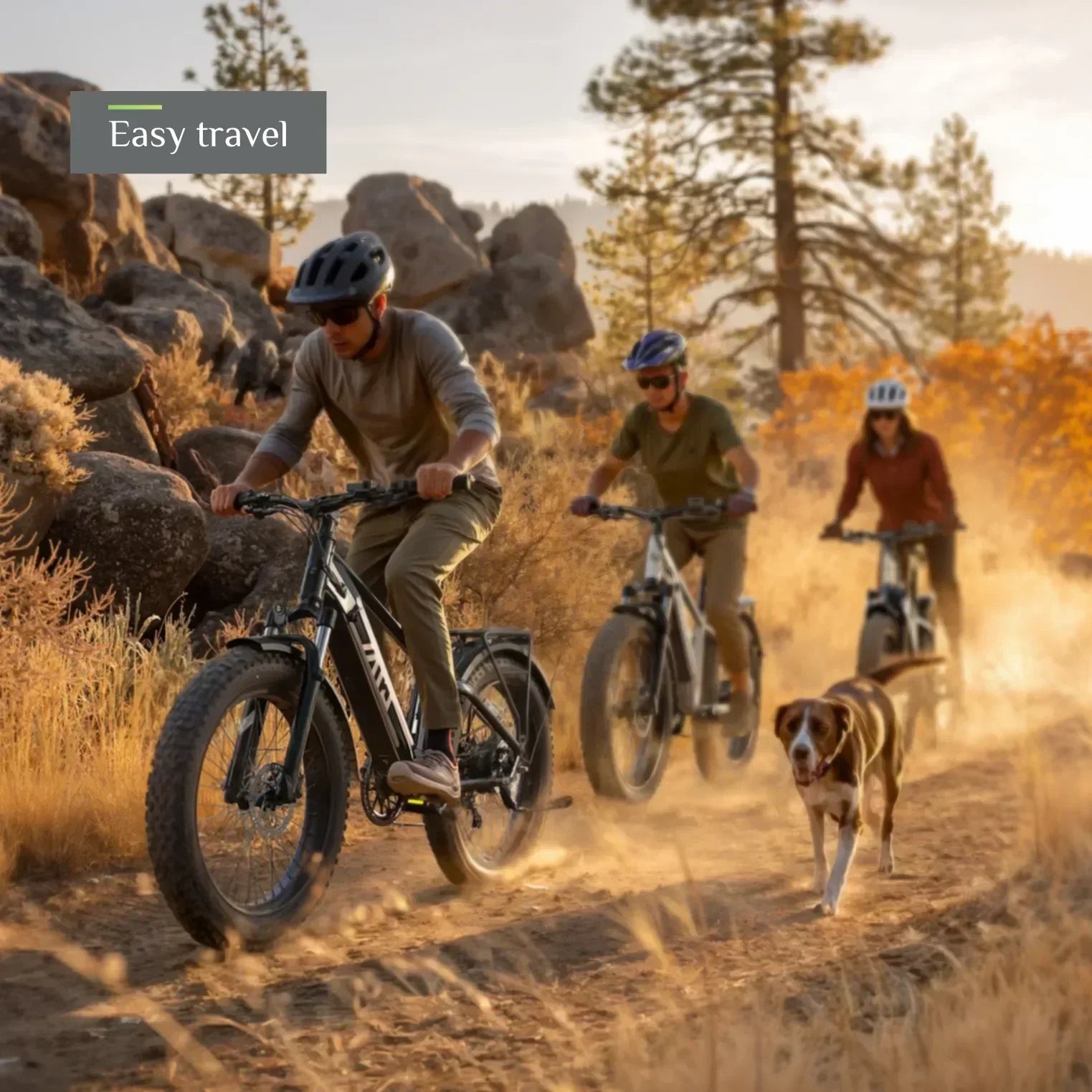 TST® Defender 26" Fat Tire Ebike For Adult