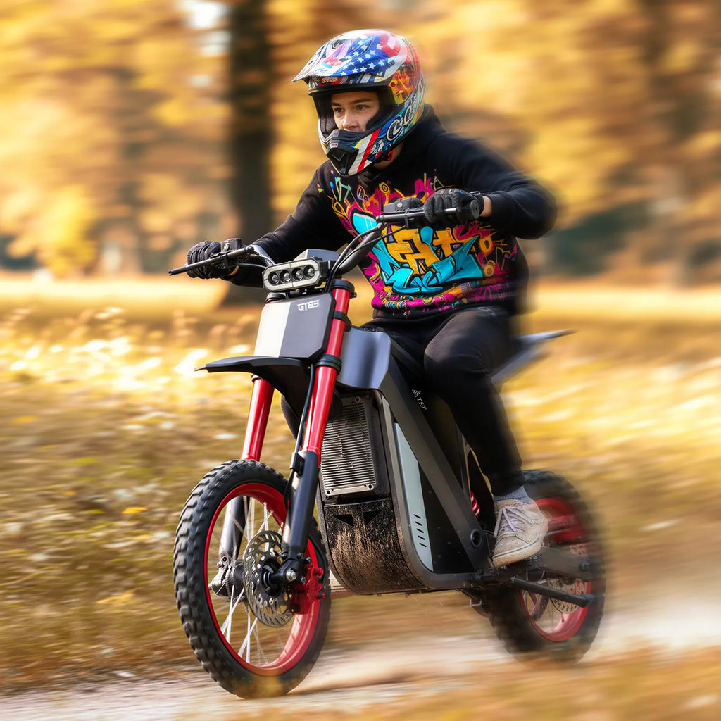 TST® GT63 14" 2200W 210Nm Electric Dirt Bike