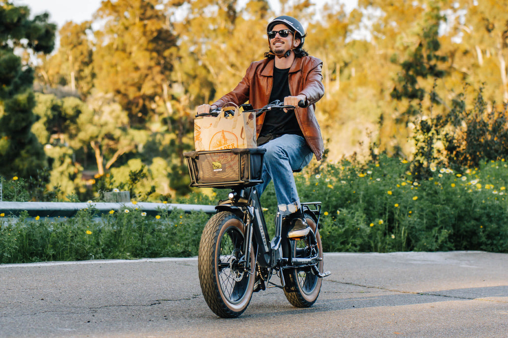 Sinch 2 Ebike